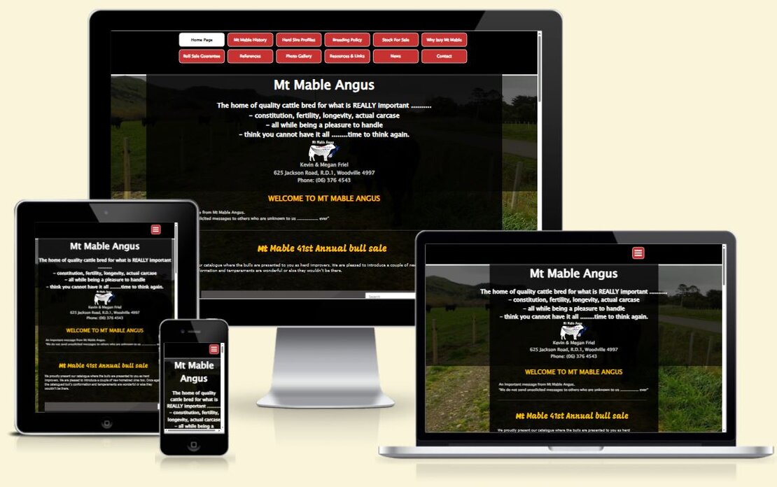 Screenshot of a consultant and coaching website