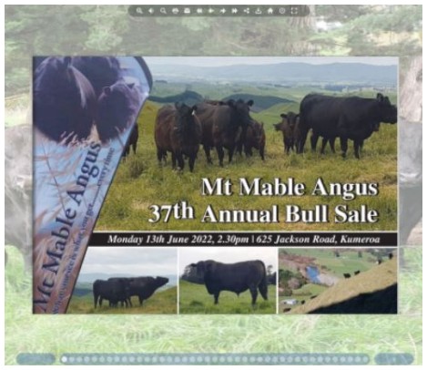 Mt Mable Angus - Flipping book catalogue